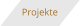 Projekte