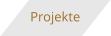 Projekte